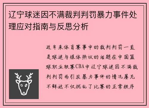 辽宁球迷因不满裁判判罚暴力事件处理应对指南与反思分析 辽宁球迷因不满裁判判罚暴力事件处理应对指南与反思分析