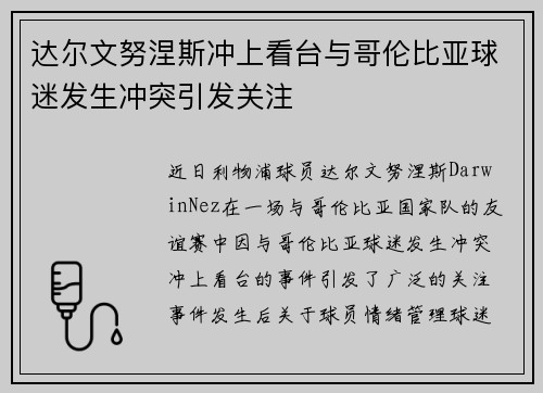 达尔文努涅斯冲上看台与哥伦比亚球迷发生冲突引发关注